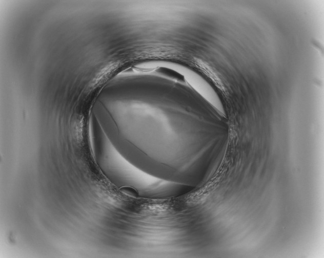 X0000095550163200712281613