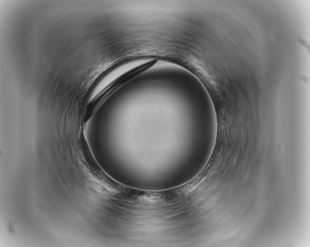 X0000095550164200712281613