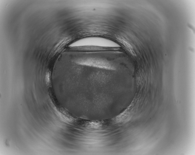 X0000095550166200712281614