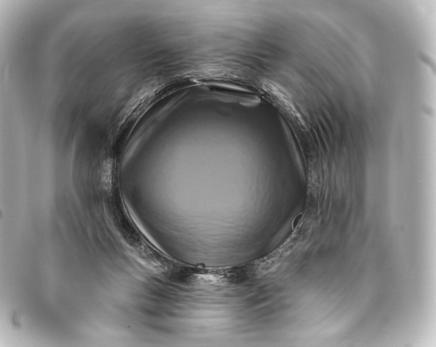 X0000095550167200712281614