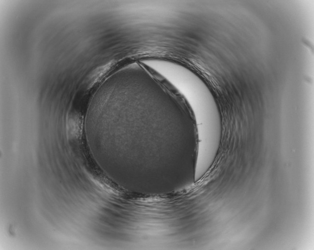 X0000095550168200712281614