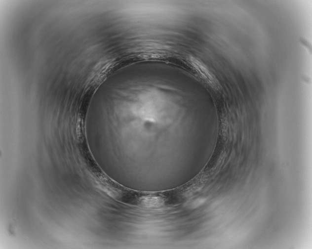 X0000095550169200712281614