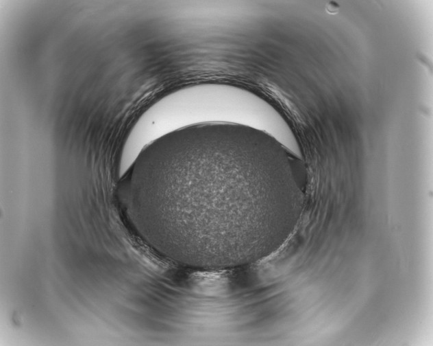 X0000095550170200712281614