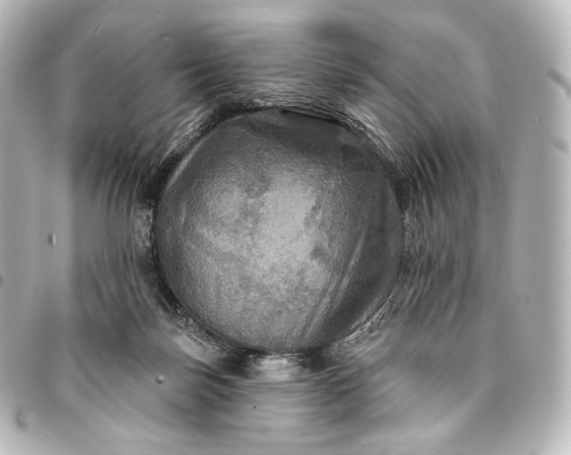 X0000095550171200712281614