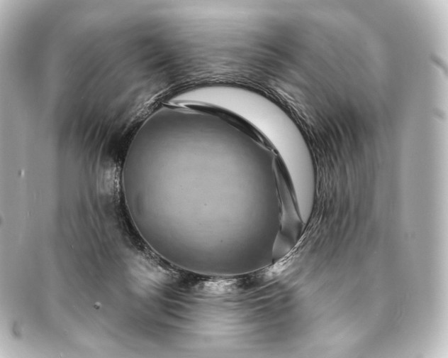 X0000095550172200712281614