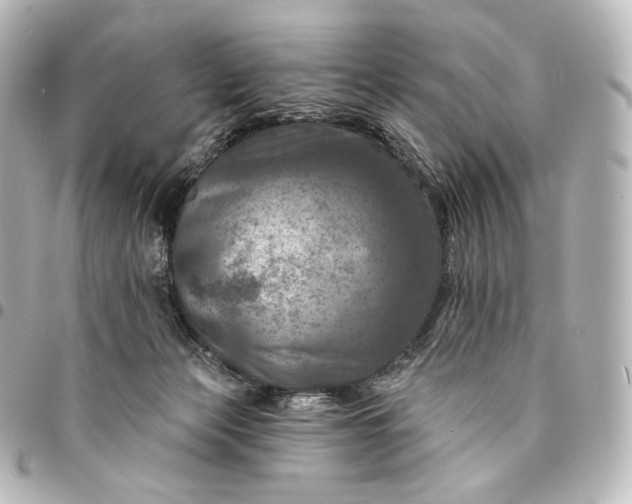 X0000095550173200712281614