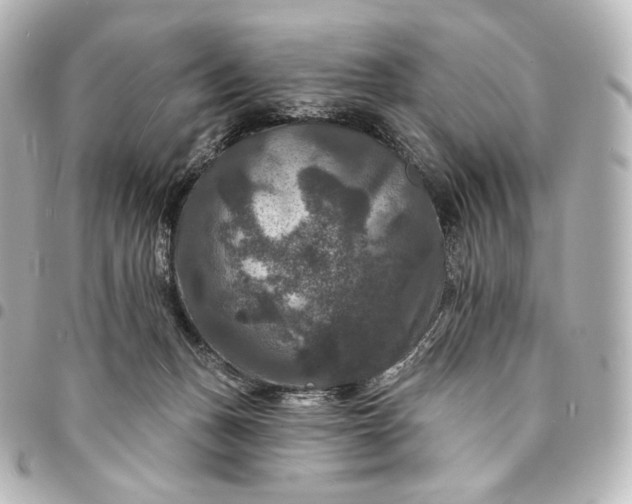 X0000095550175200712281614