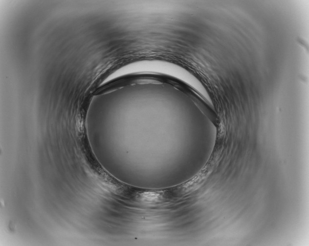 X0000095550176200712281614