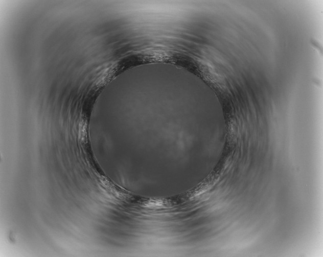 X0000095550177200712281614