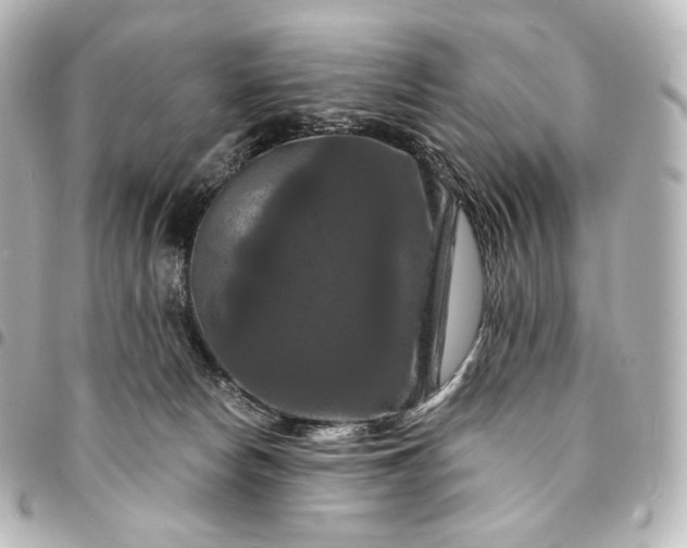 X0000095550178200712281614