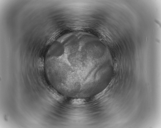 X0000095550179200712281614