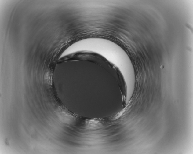 X0000095550180200712281614