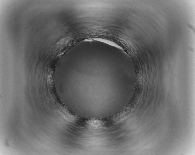 X0000095550181200712281614