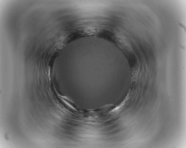 X0000095550182200712281614