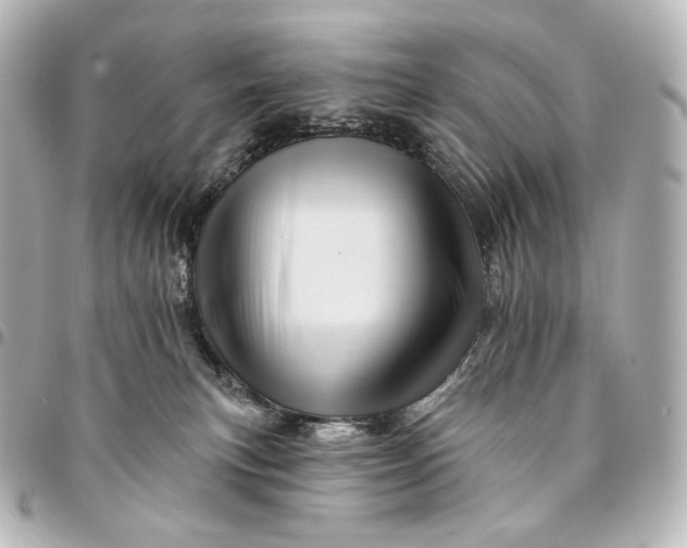 X0000095550183200712281614