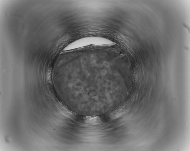 X0000095550185200712281614