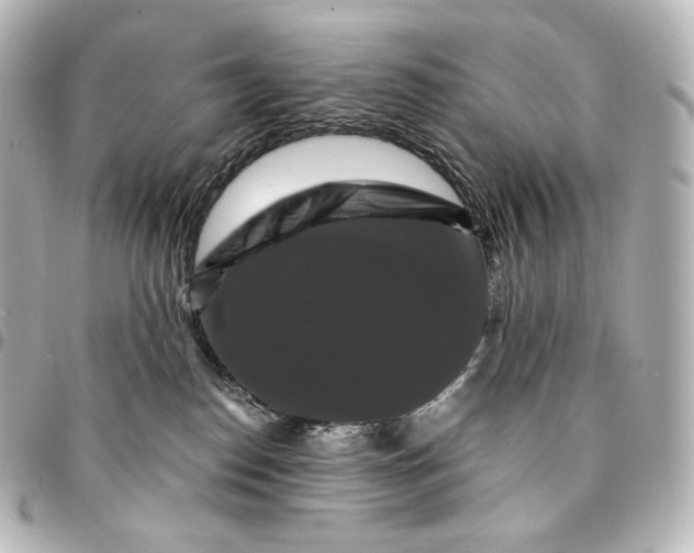 X0000095550186200712281614