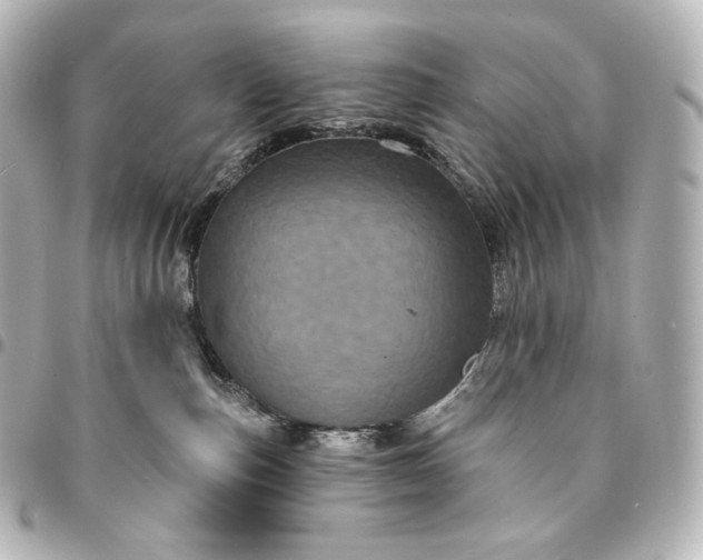 X0000095550187200712281614