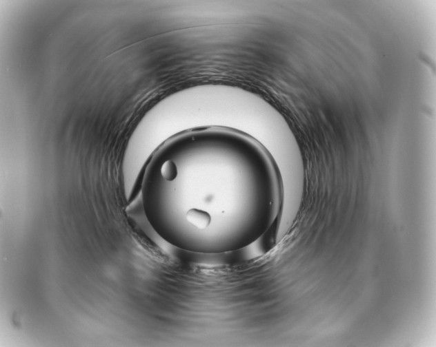 X0000095550188200712281614