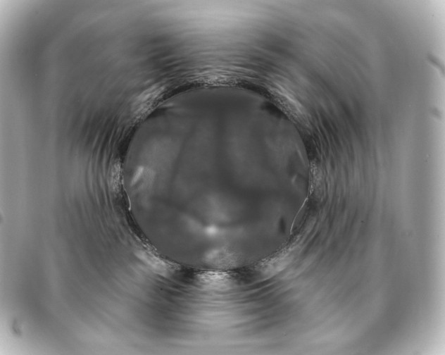 X0000095550189200712281614