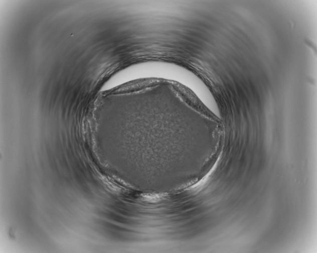 X0000095550190200712281614