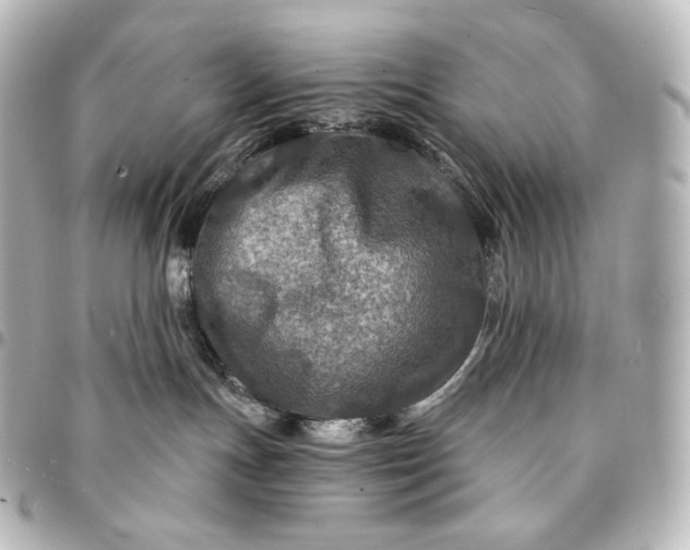 X0000095550191200712281614