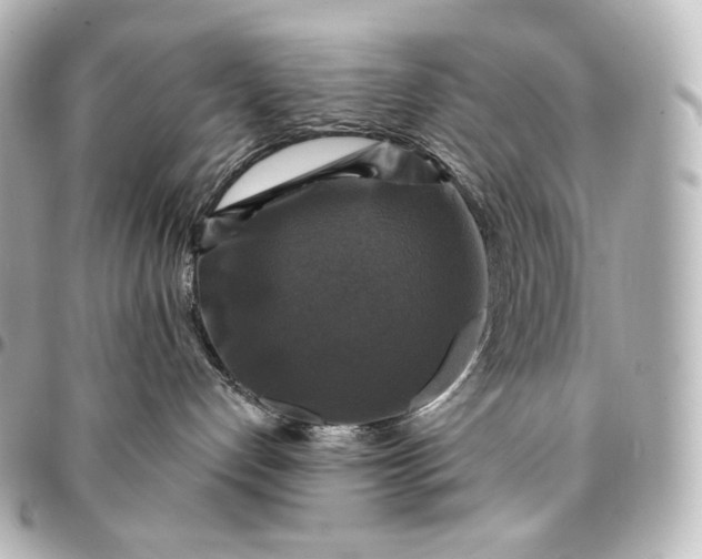 X0000095550192200712281614