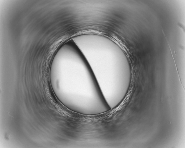 X0000095550193200712281613