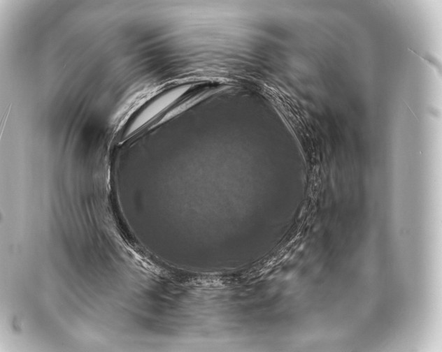 X0000095550194200712281613