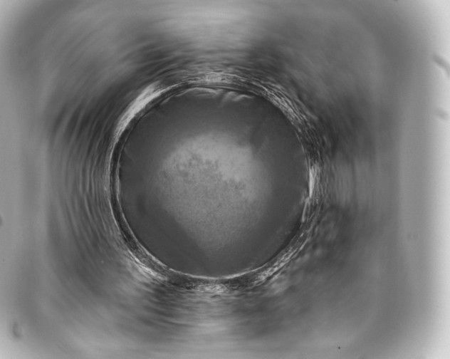 X0000095550195200712281613