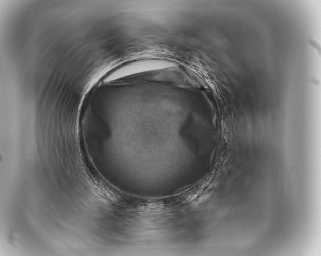 X0000095550196200712281613