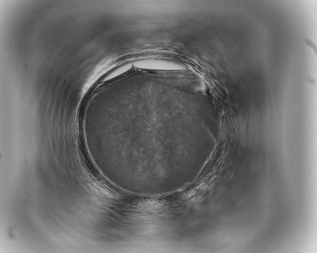 X0000095550198200712281613