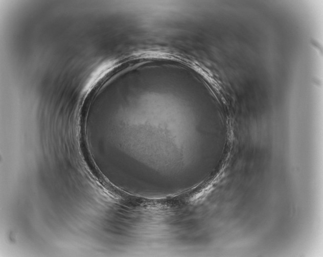 X0000095550199200712281613