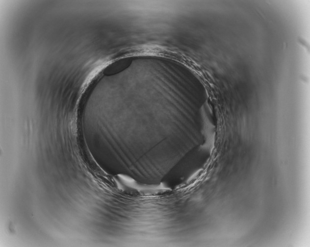 X0000095550200200712281613