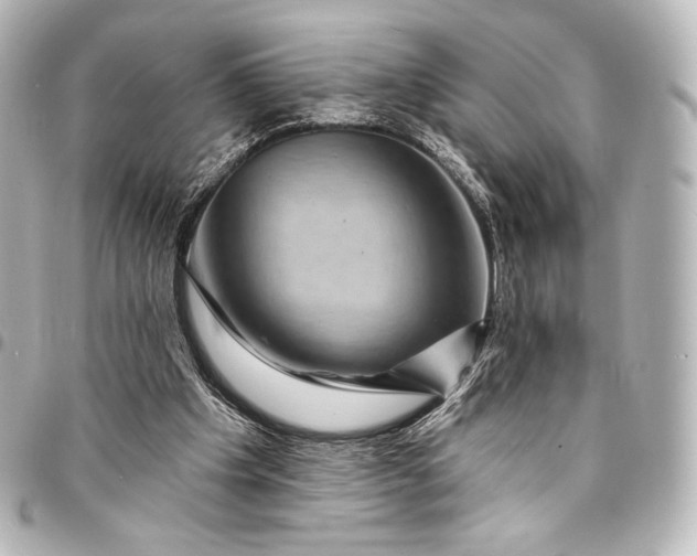 X0000095550201200712281613