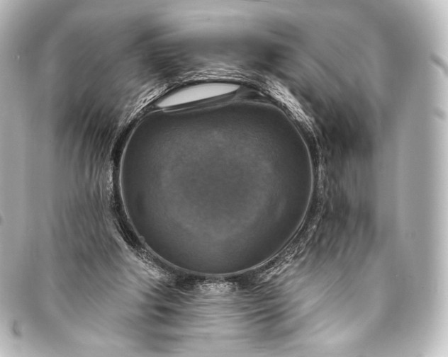 X0000095550202200712281613