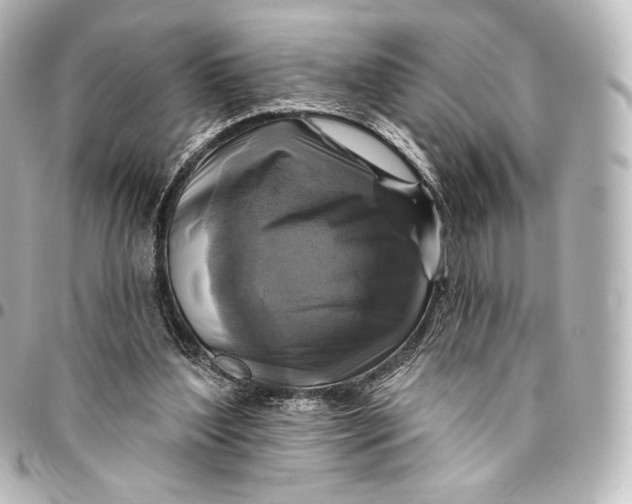 X0000095550204200712281613