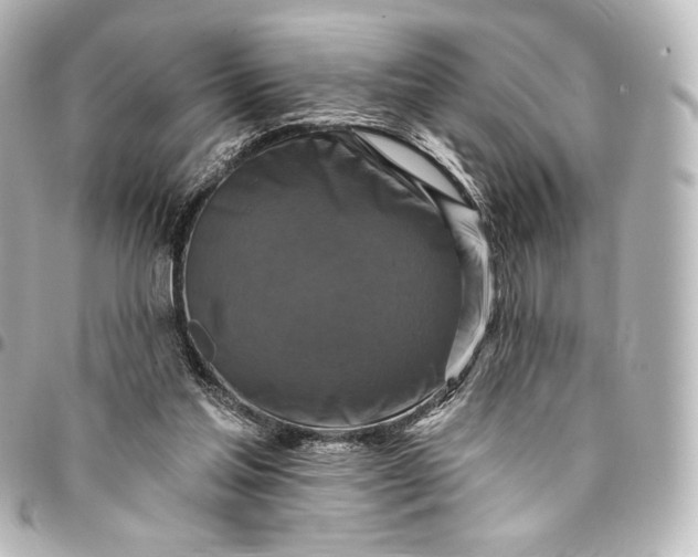 X0000095550205200712281613