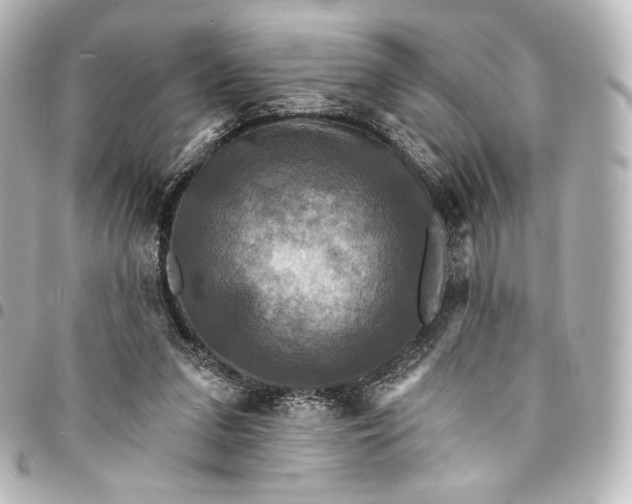 X0000095550207200712281613