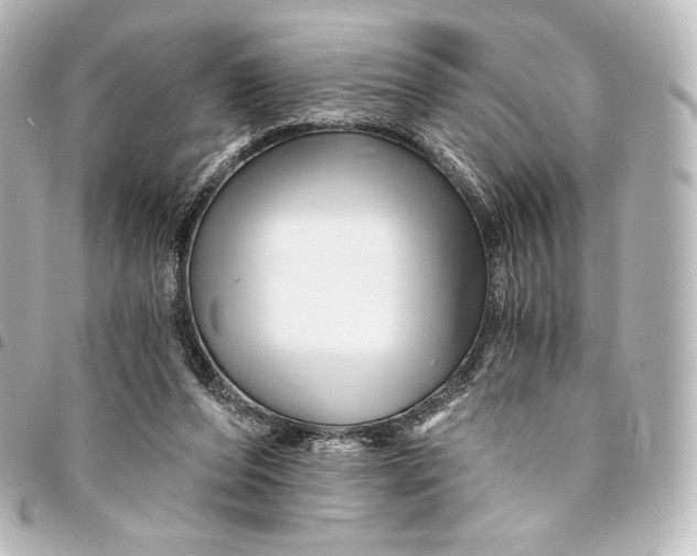 X0000095550208200712281613