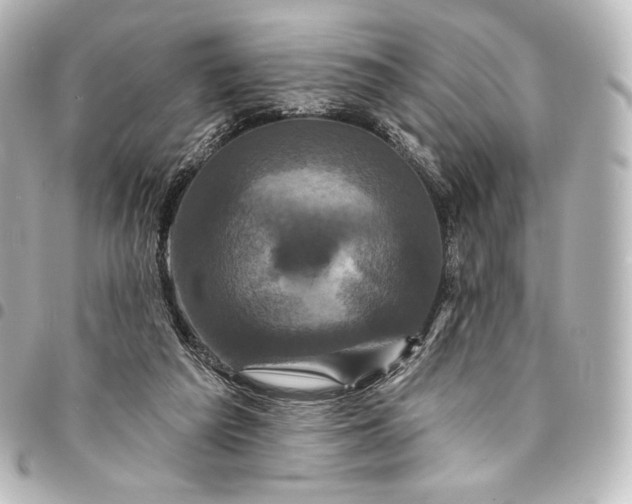 X0000095550209200712281613