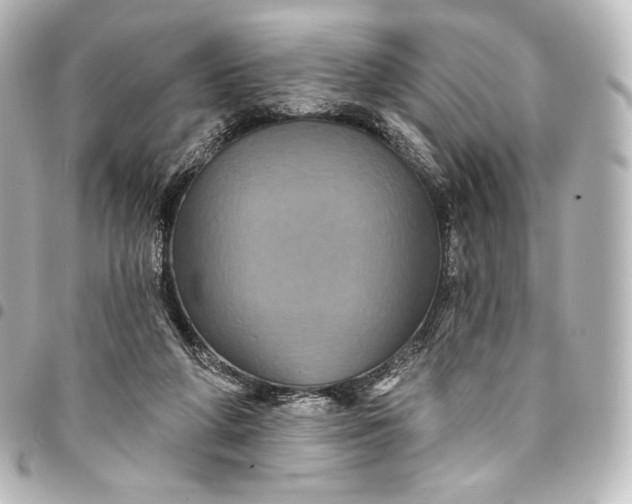 X0000095550210200712281613