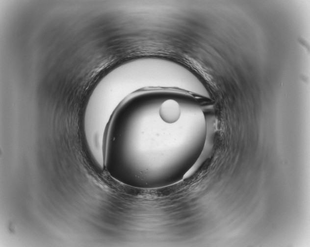 X0000095550211200712281613