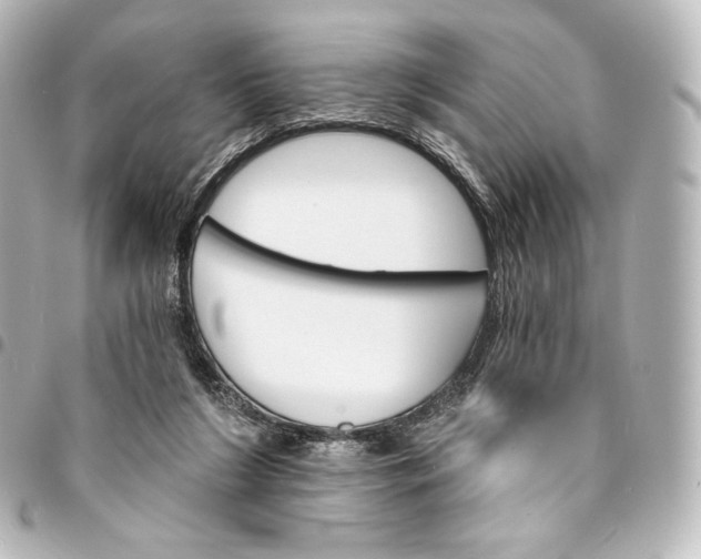 X0000095550212200712281613