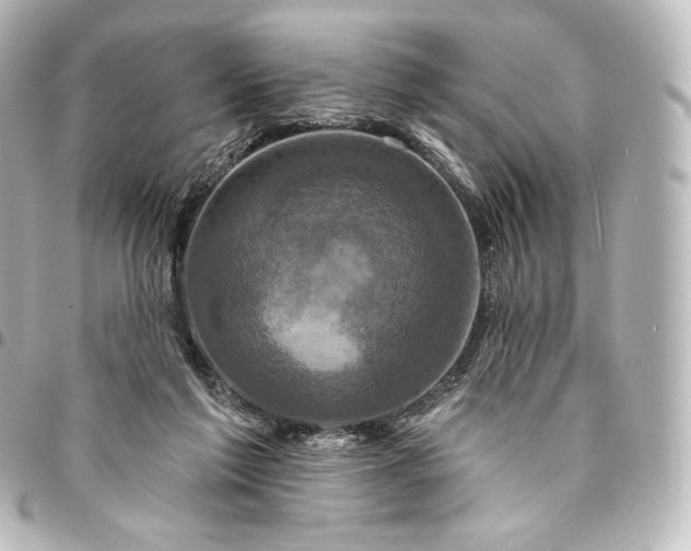 X0000095550213200712281613