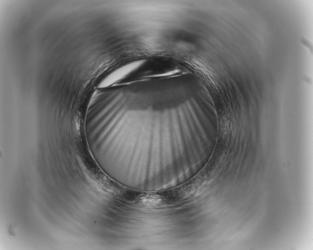 X0000095550214200712281613