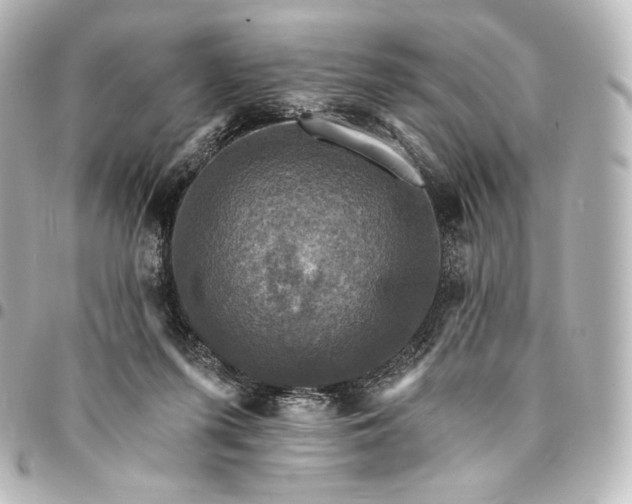 X0000095550215200712281613