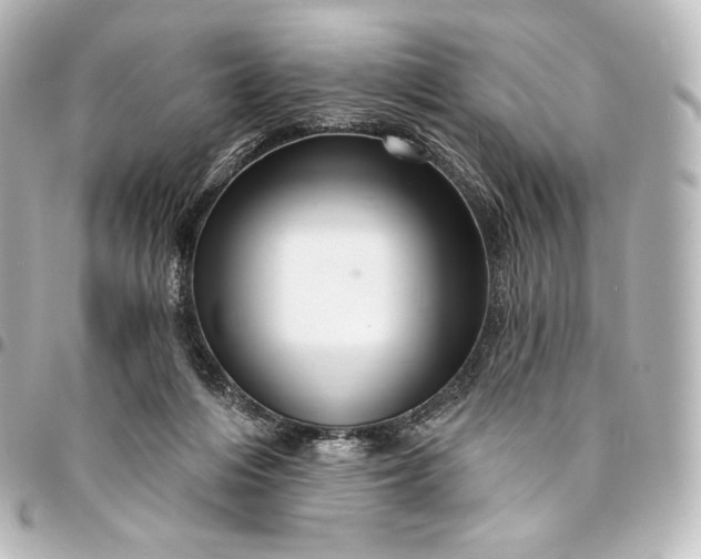 X0000095550216200712281613