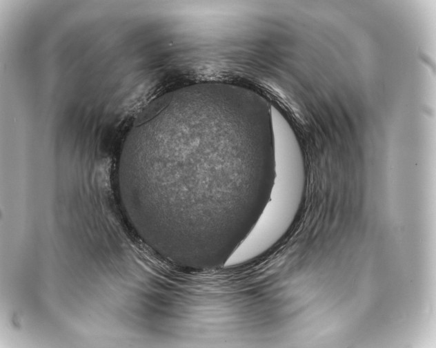 X0000095550217200712281613