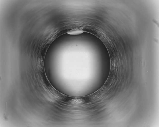 X0000095550218200712281613